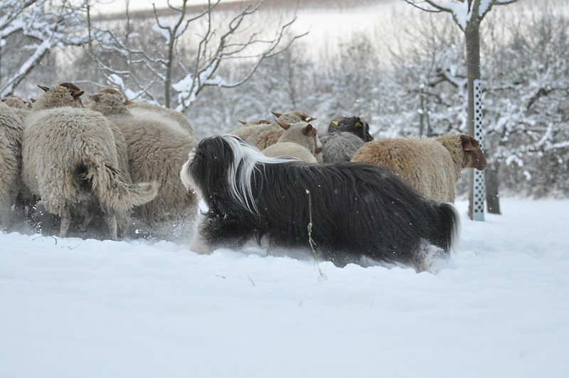 hiBXQ5VcCqNtQFV0os1F1